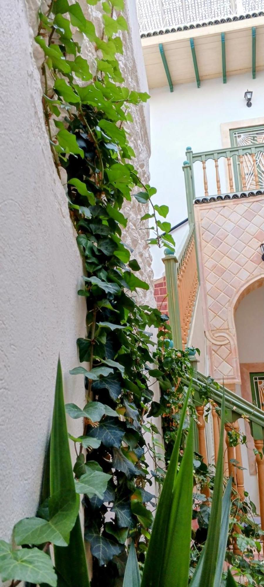 Dar Baaziz 3 *